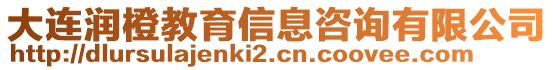 大連潤橙教育信息咨詢有限公司