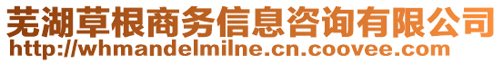 蕪湖草根商務(wù)信息咨詢有限公司