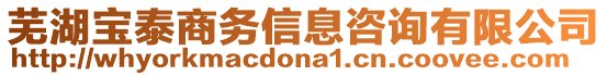 蕪湖寶泰商務(wù)信息咨詢有限公司