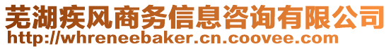 蕪湖疾風(fēng)商務(wù)信息咨詢有限公司