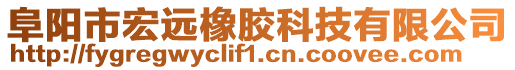 阜陽(yáng)市宏遠(yuǎn)橡膠科技有限公司