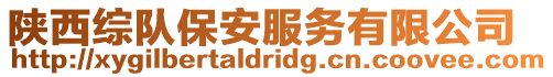 陜西綜隊保安服務有限公司