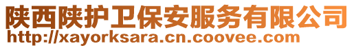 陜西陜護衛(wèi)保安服務有限公司