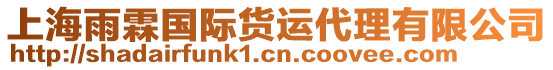 上海雨霖國際貨運代理有限公司