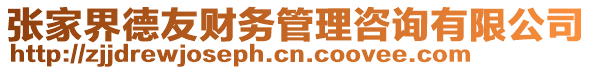 張家界德友財(cái)務(wù)管理咨詢(xún)有限公司