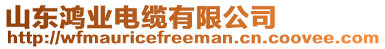 山東鴻業電纜有限公司