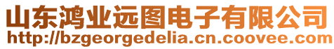 山東鴻業遠圖電子有限公司