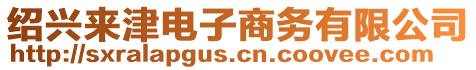 紹興來津電子商務(wù)有限公司