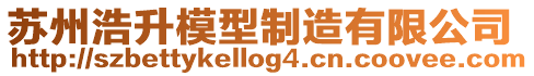 蘇州浩升模型制造有限公司