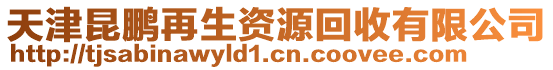 天津昆鵬再生資源回收有限公司