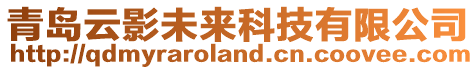 青島云影未來(lái)科技有限公司