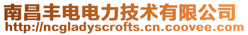 南昌豐電電力技術有限公司