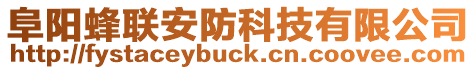 阜陽(yáng)蜂聯(lián)安防科技有限公司