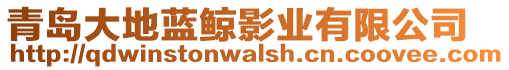 青島大地藍(lán)鯨影業(yè)有限公司
