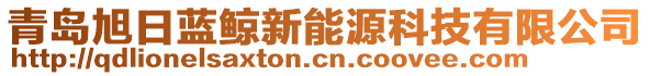 青島旭日藍(lán)鯨新能源科技有限公司