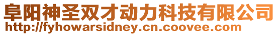 阜陽神圣雙才動力科技有限公司