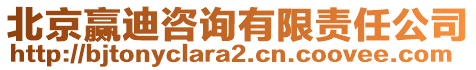 北京贏迪咨詢有限責任公司
