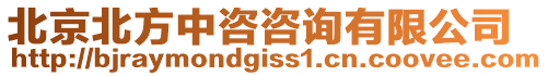 北京北方中咨咨詢有限公司