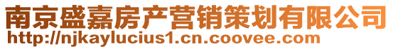 南京盛嘉房產(chǎn)營銷策劃有限公司