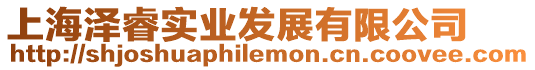 上海澤睿實業發展有限公司