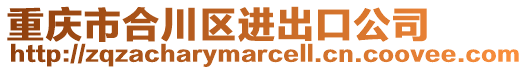 重慶市合川區進出口公司