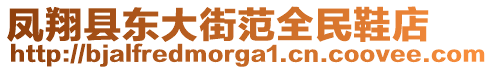 鳳翔縣東大街范全民鞋店