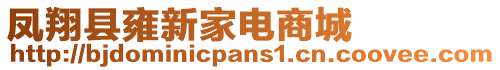 鳳翔縣雍新家電商城