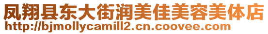 鳳翔縣東大街潤美佳美容美體店