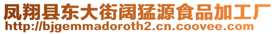 鳳翔縣東大街闊猛源食品加工廠