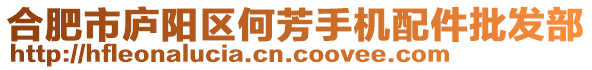 合肥市廬陽區(qū)何芳手機配件批發(fā)部