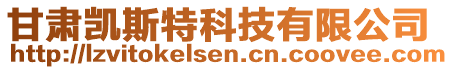 甘肅凱斯特科技有限公司