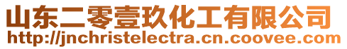 山東二零壹玖化工有限公司