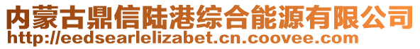內(nèi)蒙古鼎信陸港綜合能源有限公司