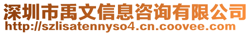 深圳市禹文信息咨詢有限公司