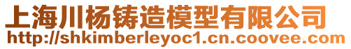 上海川楊鑄造模型有限公司