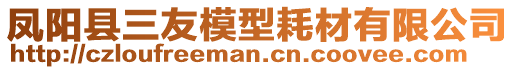 鳳陽縣三友模型耗材有限公司