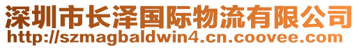 深圳市長(zhǎng)澤國(guó)際物流有限公司