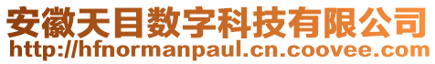 安徽天目數字科技有限公司