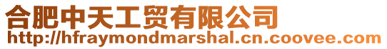 合肥中天工貿有限公司