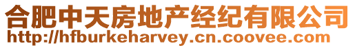 合肥中天房地產經紀有限公司