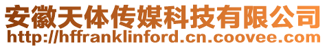 安徽天體傳媒科技有限公司