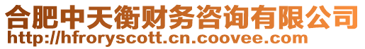 合肥中天衡財(cái)務(wù)咨詢有限公司