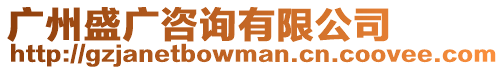 廣州盛廣咨詢有限公司