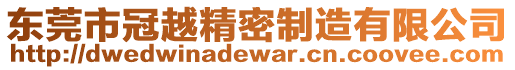 東莞市冠越精密制造有限公司