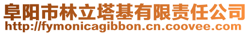 阜陽市林立塔基有限責任公司