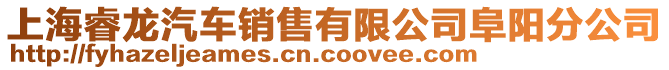 上海睿龍汽車銷售有限公司阜陽分公司