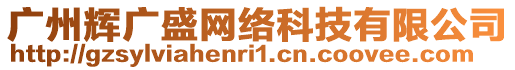 廣州輝廣盛網(wǎng)絡(luò)科技有限公司