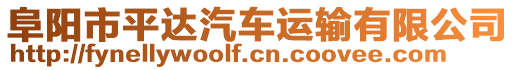 阜陽市平達汽車運輸有限公司