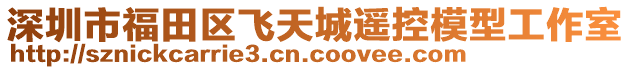 深圳市福田區飛天城遙控模型工作室