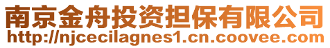 南京金舟投資擔保有限公司